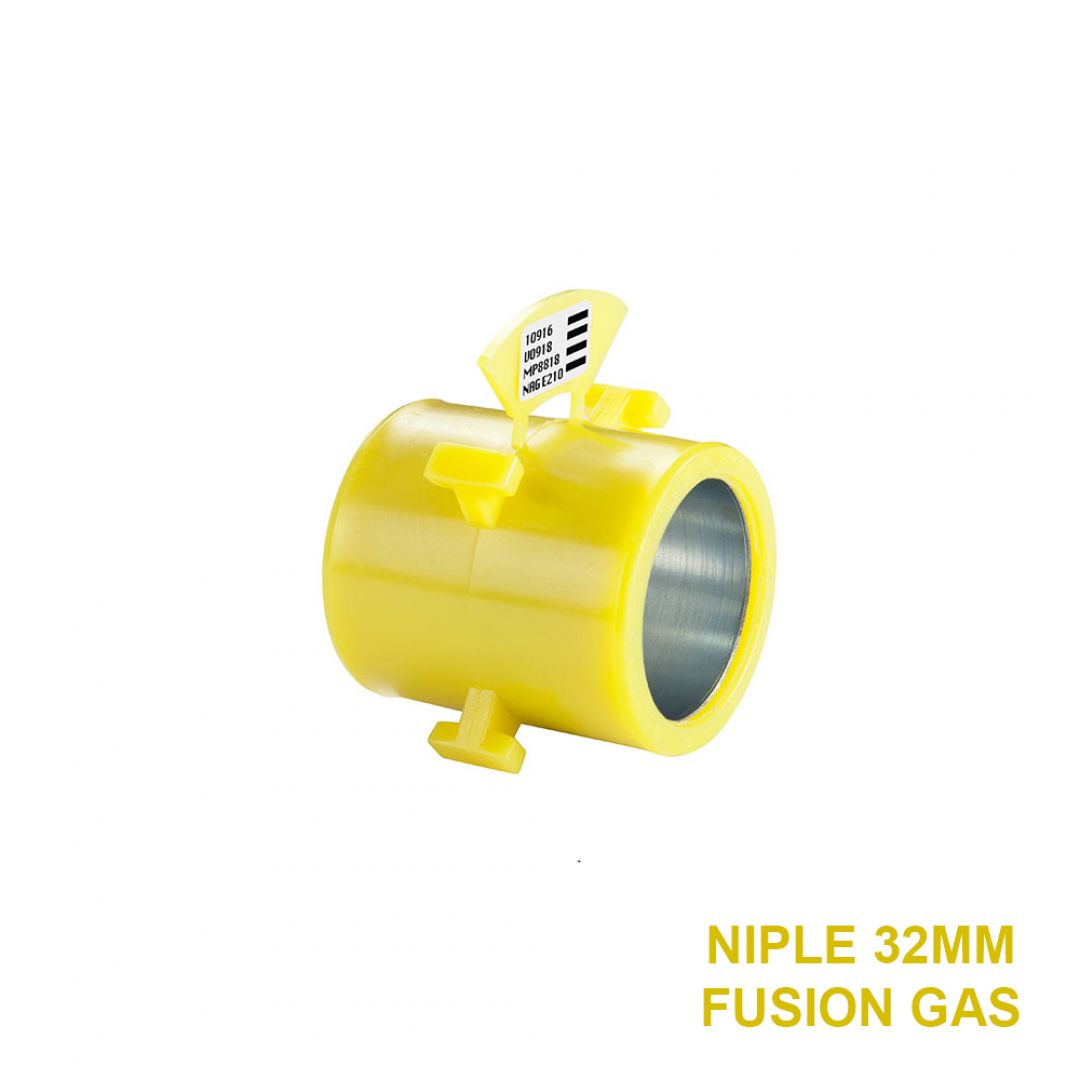 fg-niple-entre-fusion-32