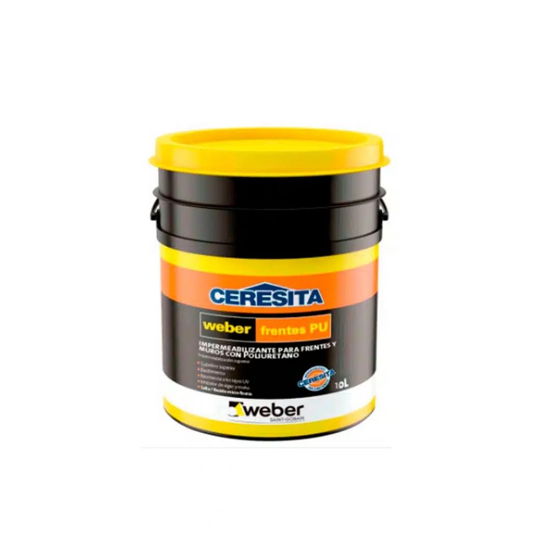 weber-frentes-pu-x-20l-5032